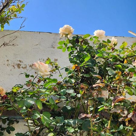 Duplex Bien Equipe Securise Avec Jardin Et Veranda La Marsa Bagian luar foto