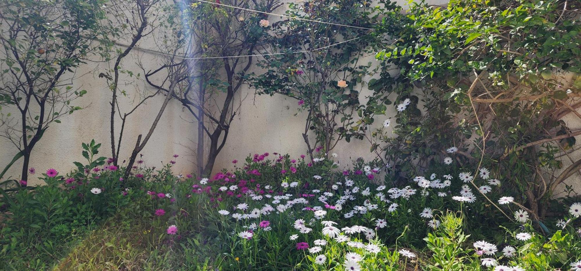 Duplex Bien Equipe Securise Avec Jardin Et Veranda La Marsa Bagian luar foto