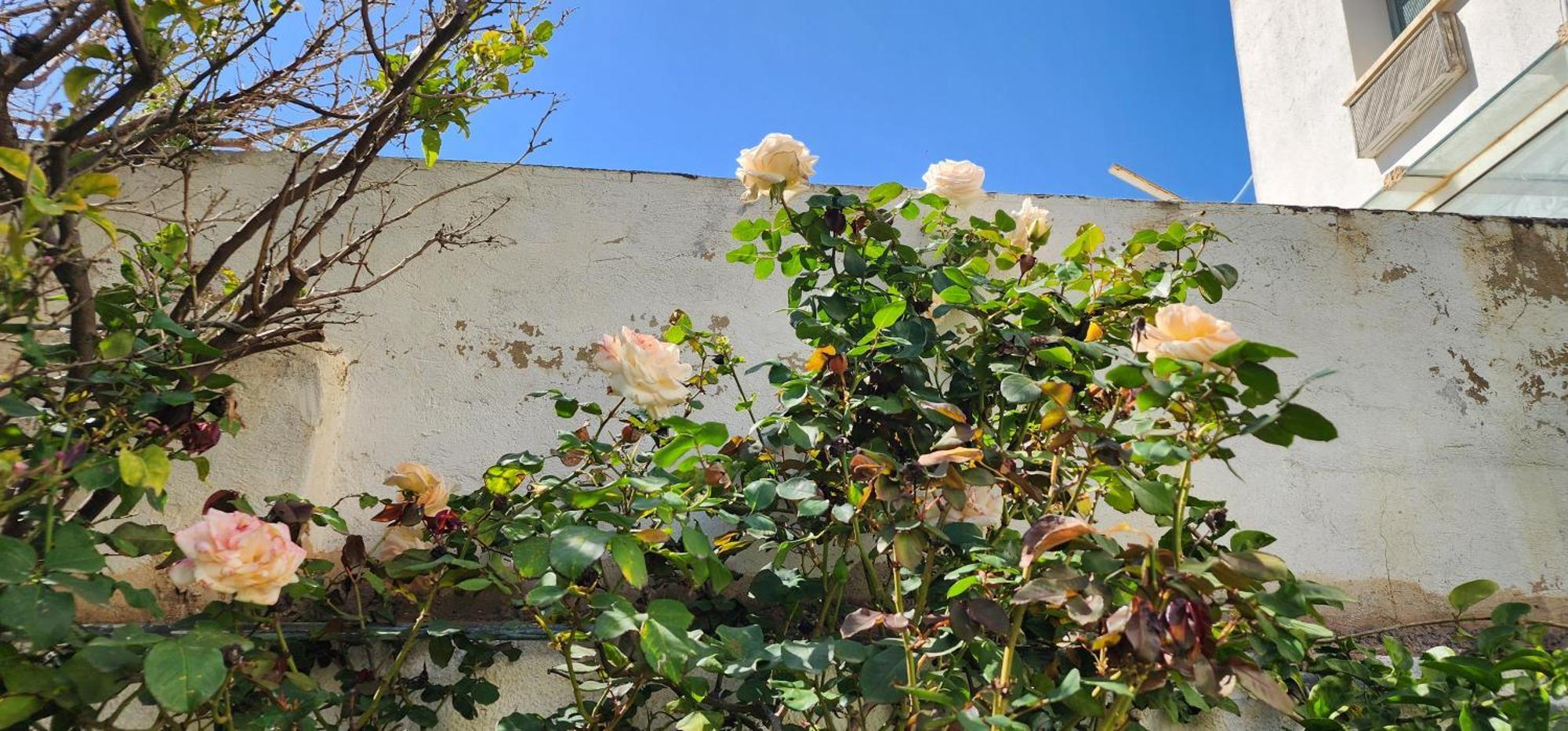 Duplex Bien Equipe Securise Avec Jardin Et Veranda La Marsa Bagian luar foto
