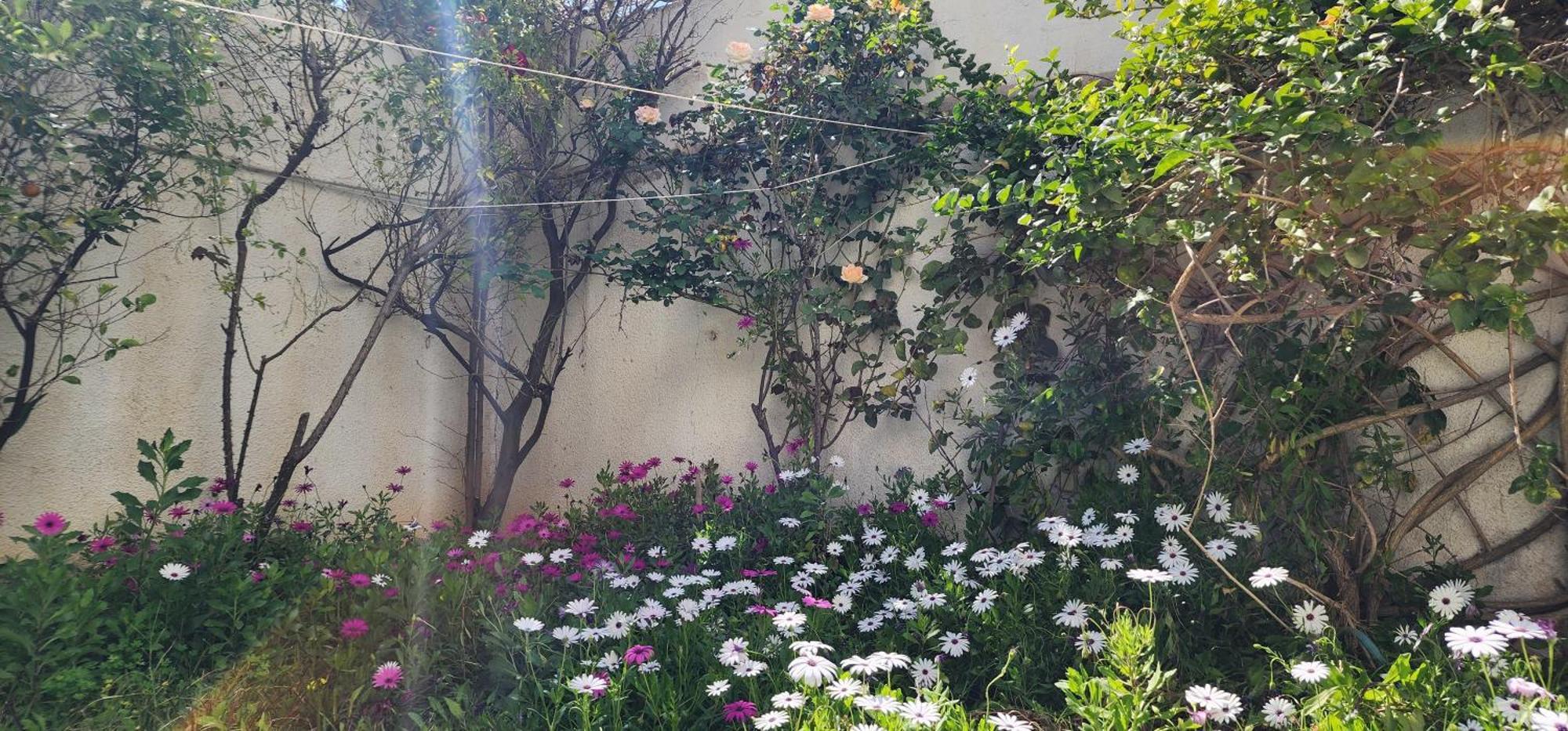Duplex Bien Equipe Securise Avec Jardin Et Veranda La Marsa Bagian luar foto
