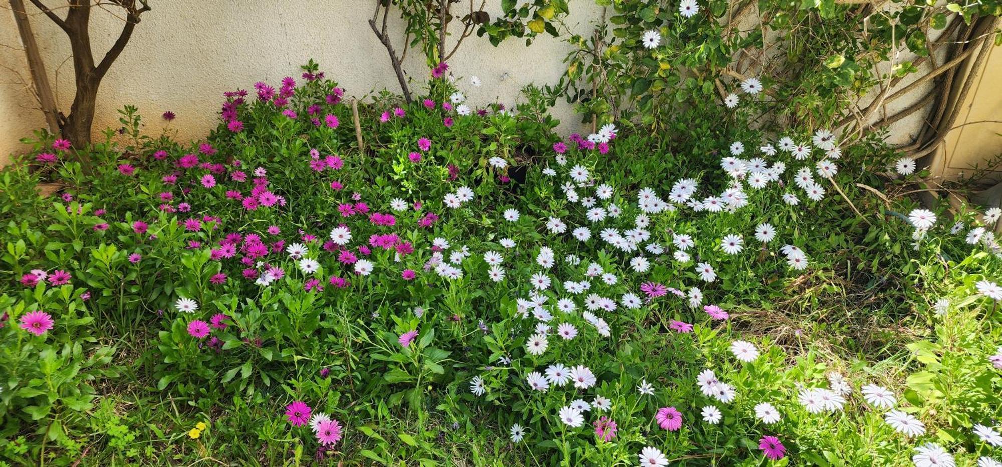 Duplex Bien Equipe Securise Avec Jardin Et Veranda La Marsa Bagian luar foto