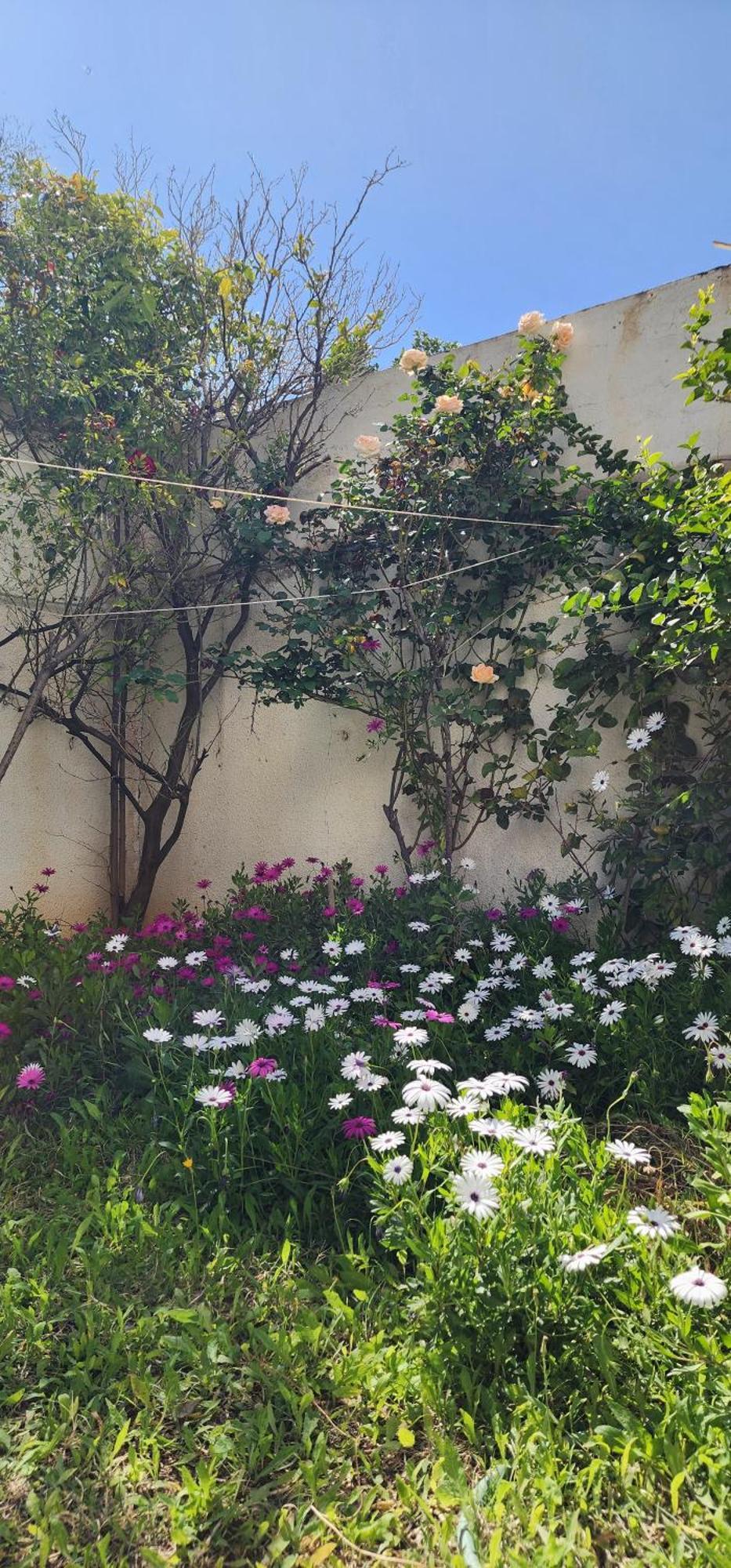 Duplex Bien Equipe Securise Avec Jardin Et Veranda La Marsa Bagian luar foto